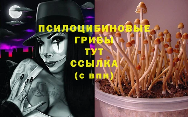 соль курить ск Алексеевка