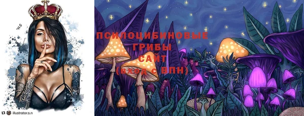 герыч Алзамай