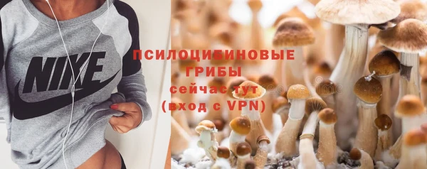 соль курить ск Алексеевка